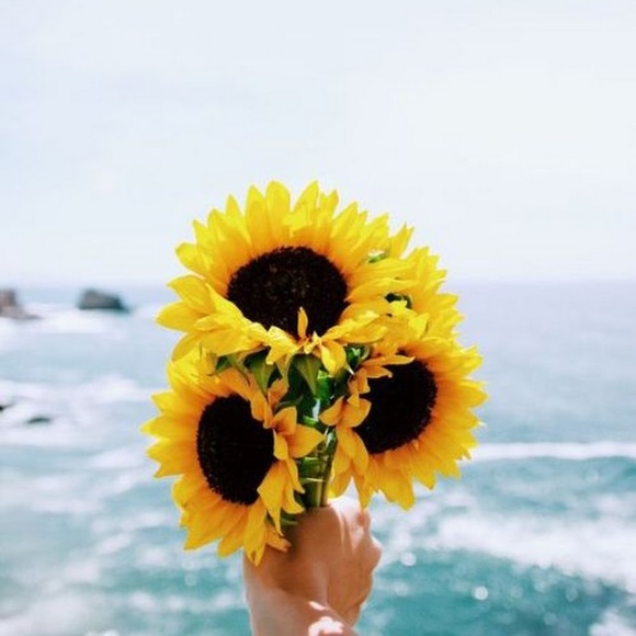 Meet your Posher, Katelyn - Picture 1 of 1